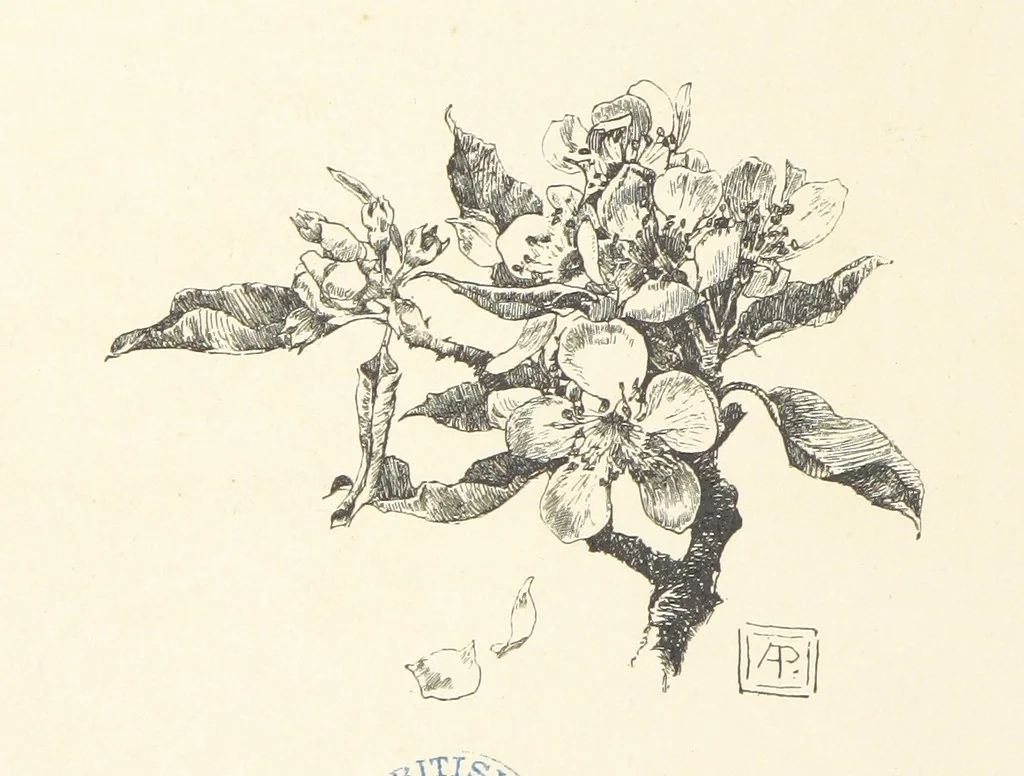 An illustration from Old Songs. With drawings by E. A. Abbey and Alfred Parsons, 1889, leaf 16