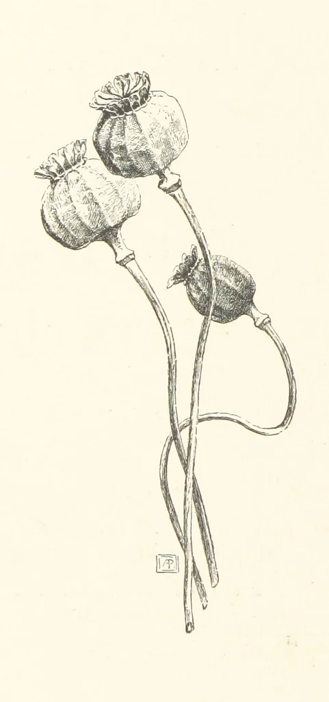 An illustration from Old Songs. With drawings by E. A. Abbey and Alfred Parsons, 1889, leaf 28