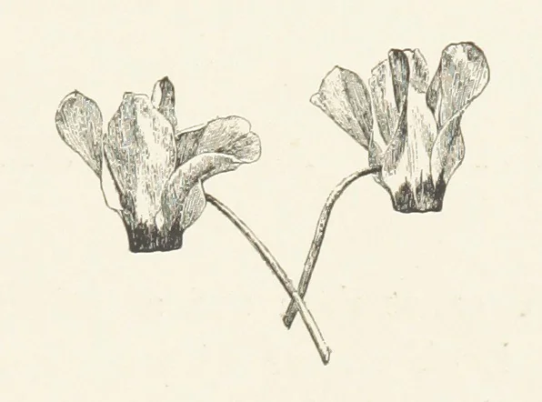 An illustration from Old Songs. With drawings by E. A. Abbey and Alfred Parsons, 1889, leaf 29