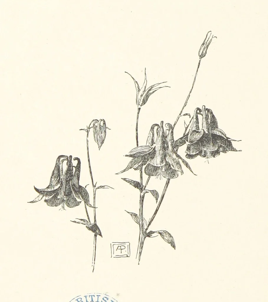 An illustration from Old Songs. With drawings by E. A. Abbey and Alfred Parsons, 1889, leaf 40