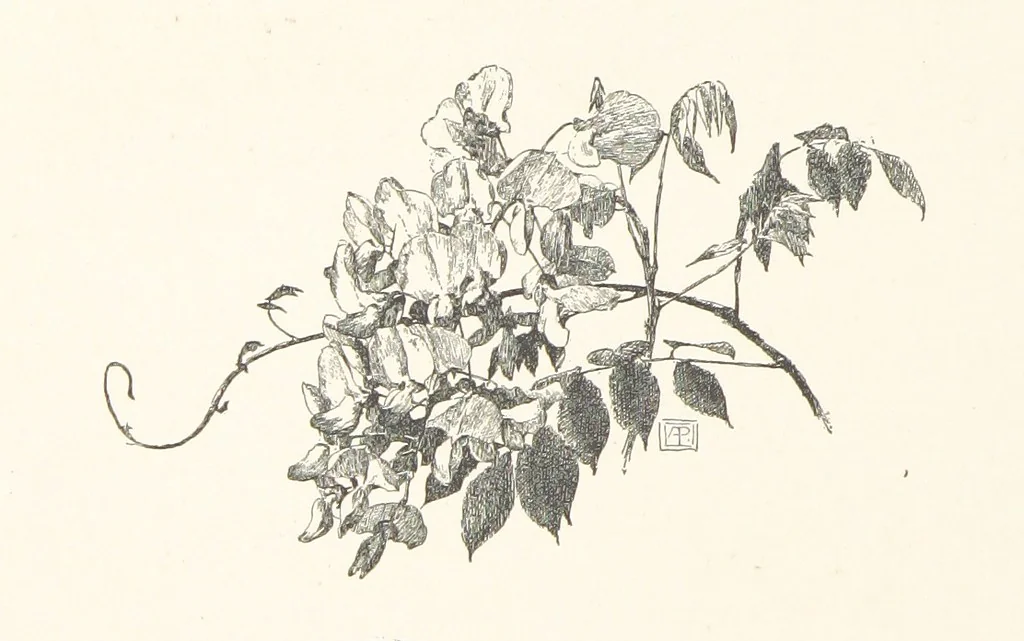 An illustration from Old Songs. With drawings by E. A. Abbey and Alfred Parsons, 1889, leaf 42