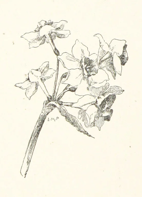 An illustration from Old Songs. With drawings by E. A. Abbey and Alfred Parsons, 1889, leaf 66