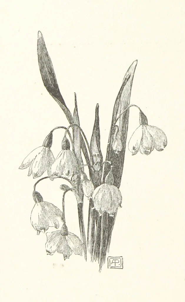 An illustration from Old Songs. With drawings by E. A. Abbey and Alfred Parsons, 1889, leaf 80