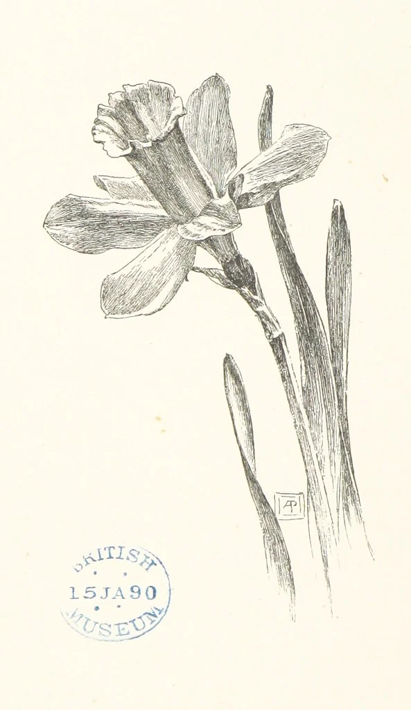 An illustration from Old Songs. With drawings by E. A. Abbey and Alfred Parsons, 1889, leaf 82