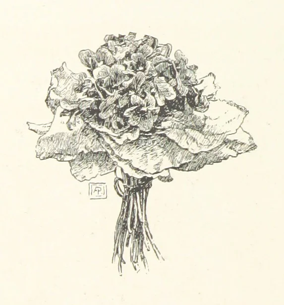 An illustration from Old Songs. With drawings by E. A. Abbey and Alfred Parsons, 1889, leaf 88