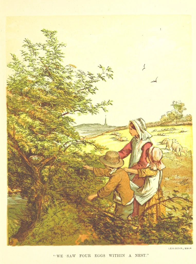 An illustration from Songs for the Little ones at Home. Illustrated ... from designs by eminent artists, 1868, leaf 121