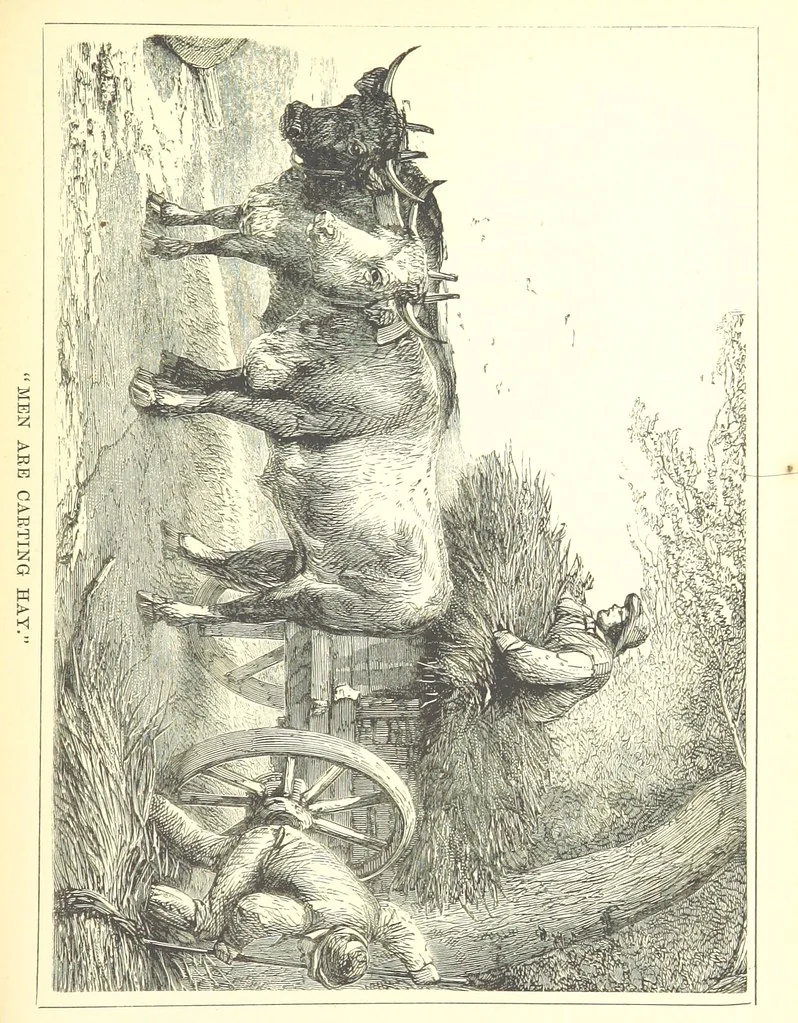 An illustration from Songs for the Little ones at Home. Illustrated ... from designs by eminent artists, 1868, leaf 193