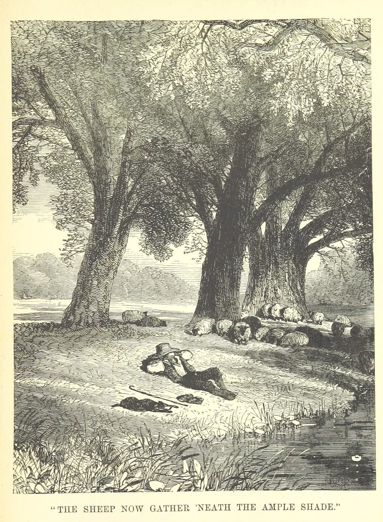 An illustration from Songs for the Little ones at Home. Illustrated ... from designs by eminent artists, 1868, leaf 203