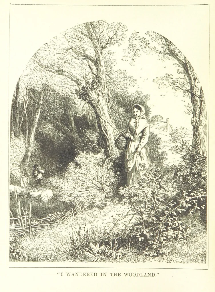 An illustration from Songs for the Little ones at Home. Illustrated ... from designs by eminent artists, 1868, leaf 224