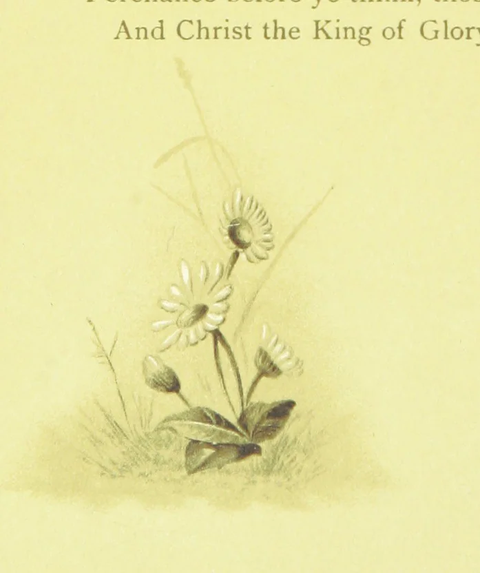 An illustration from Songs of the Dawn: selection from the poems of Horatius Bonar, Charlotte Murray and others, 1887, leaf 20