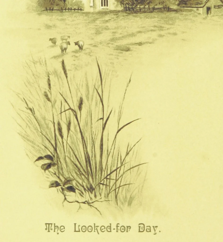An illustration from Songs of the Dawn: selection from the poems of Horatius Bonar, Charlotte Murray and others, 1887, leaf 8