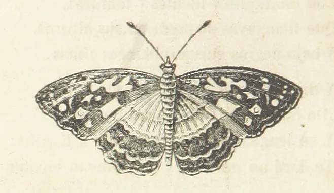 An illustration from España pintoresca, artistica, monumental, literaria y de costumbres, 1843, leaf 124
