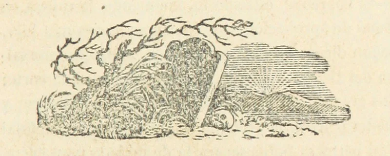An illustration from España pintoresca, artistica, monumental, literaria y de costumbres, 1843, leaf 177
