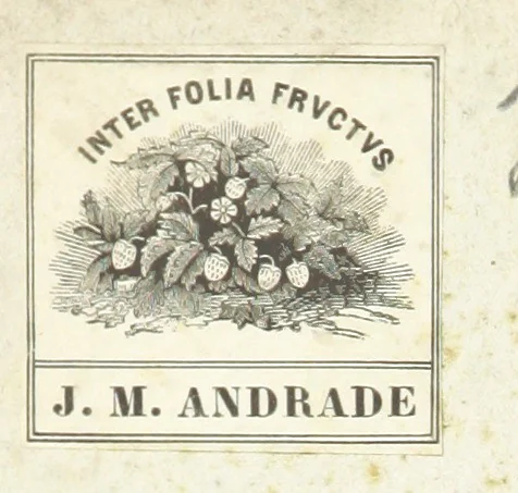 An illustration from España pintoresca, artistica, monumental, literaria y de costumbres, 1843, leaf 2
