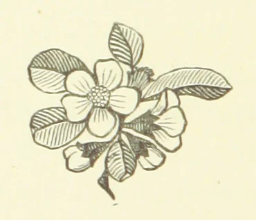 An illustration from Exiles of Fortune. A tale of a far north land, 1890, leaf 182