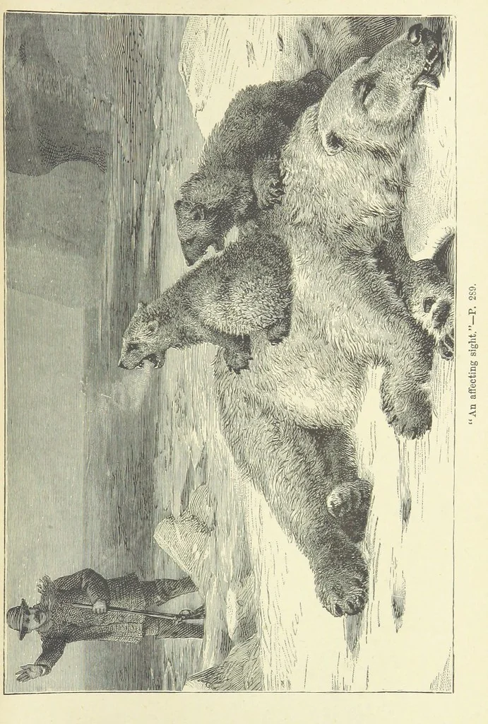 An illustration from Exiles of Fortune. A tale of a far north land, 1890, leaf 305