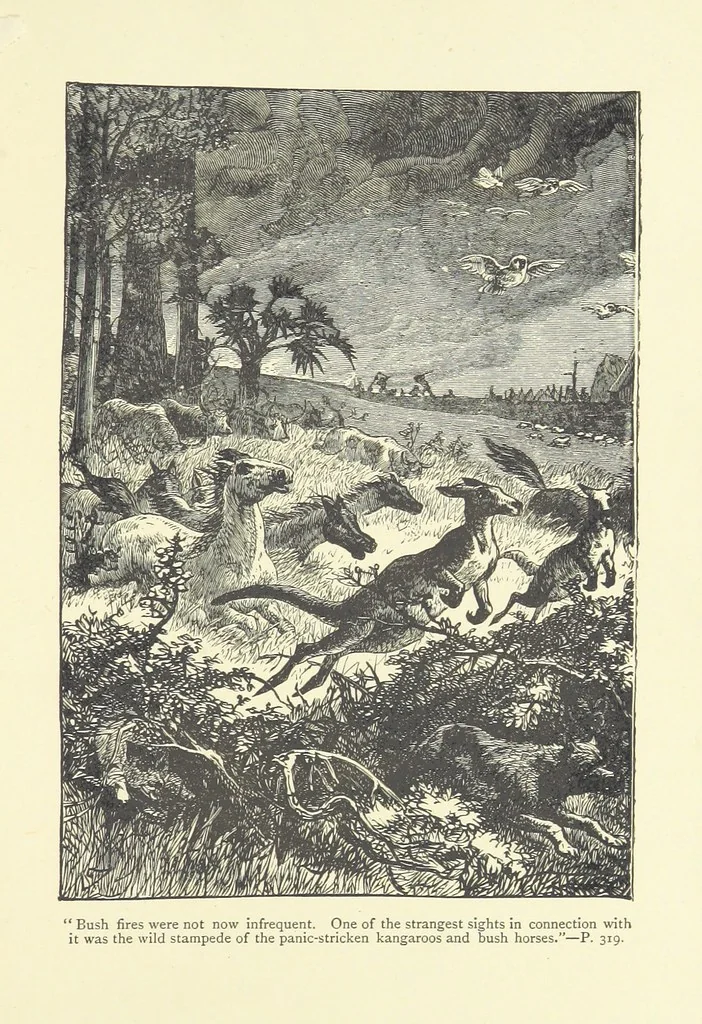 An illustration from From Squire to Squatter. A tale, etc, 1888, leaf 339