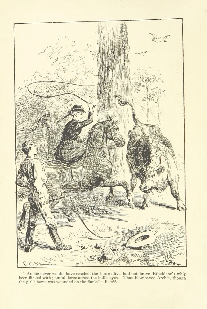 An illustration from From Squire to Squatter. A tale, etc, 1888, leaf 8