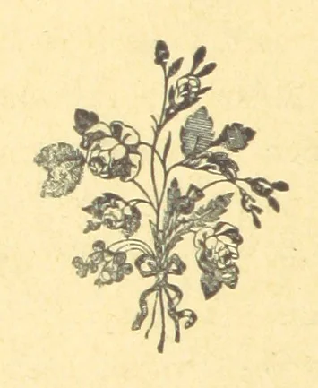An illustration from Shoulder to Shoulder: a story of the stirring times of old, 1896, leaf 280
