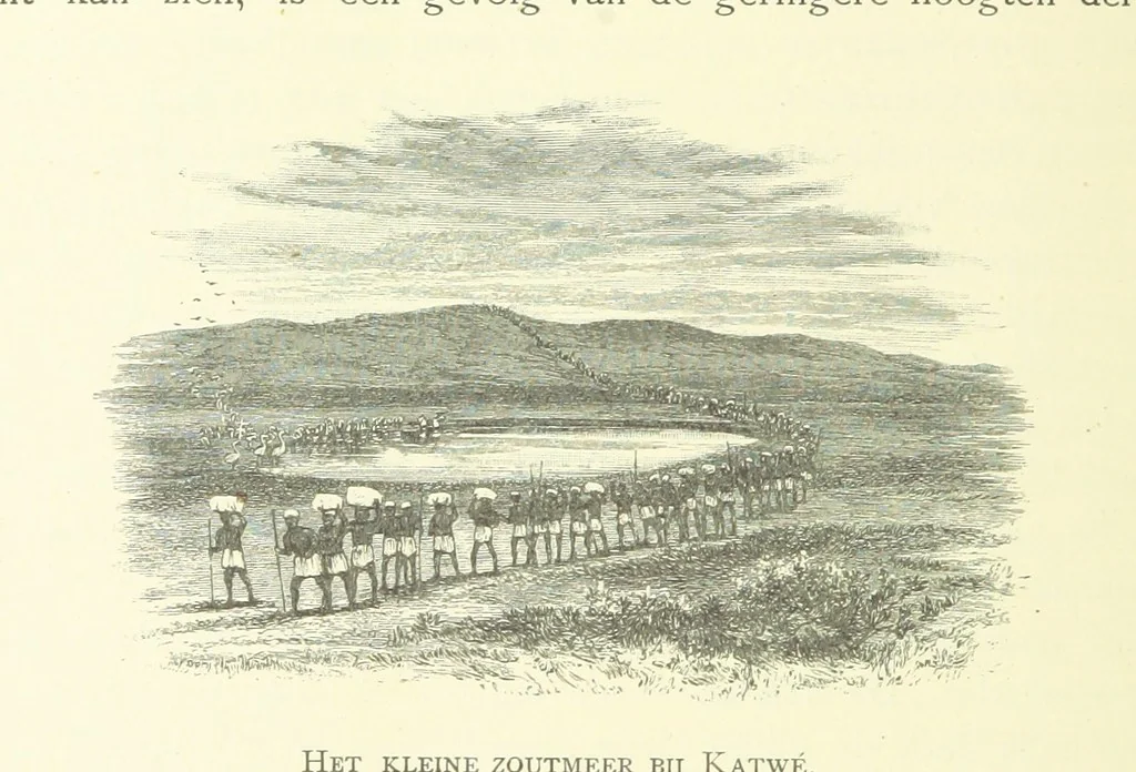 An illustration from Stanley in Afrika's donkere wildernissen, etc. [Translated from “In Darkest Afrika” by H. Tiedeman, 1890, leaf 1038