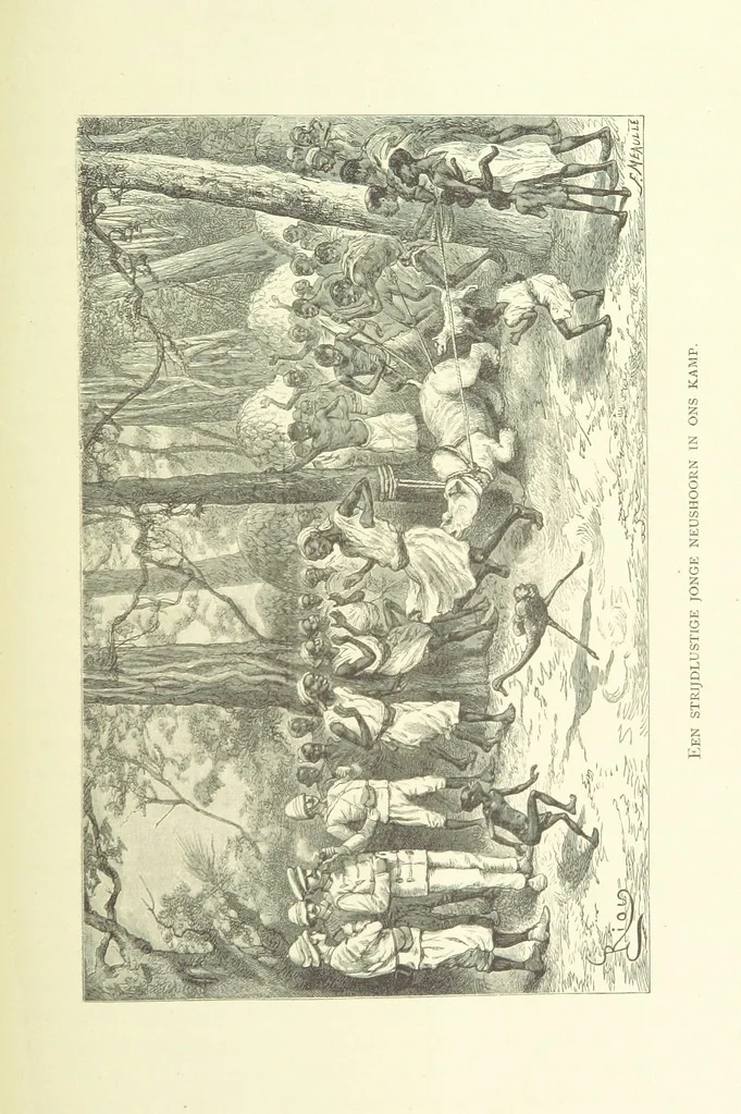 An illustration from Stanley in Afrika's donkere wildernissen, etc. [Translated from “In Darkest Afrika” by H. Tiedeman, 1890, leaf 1111