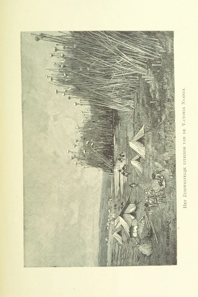 An illustration from Stanley in Afrika's donkere wildernissen, etc. [Translated from “In Darkest Afrika” by H. Tiedeman, 1890, leaf 1121