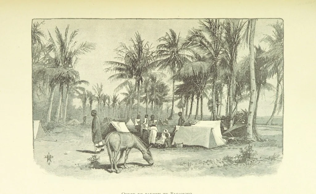 An illustration from Stanley in Afrika's donkere wildernissen, etc. [Translated from “In Darkest Afrika” by H. Tiedeman, 1890, leaf 1159