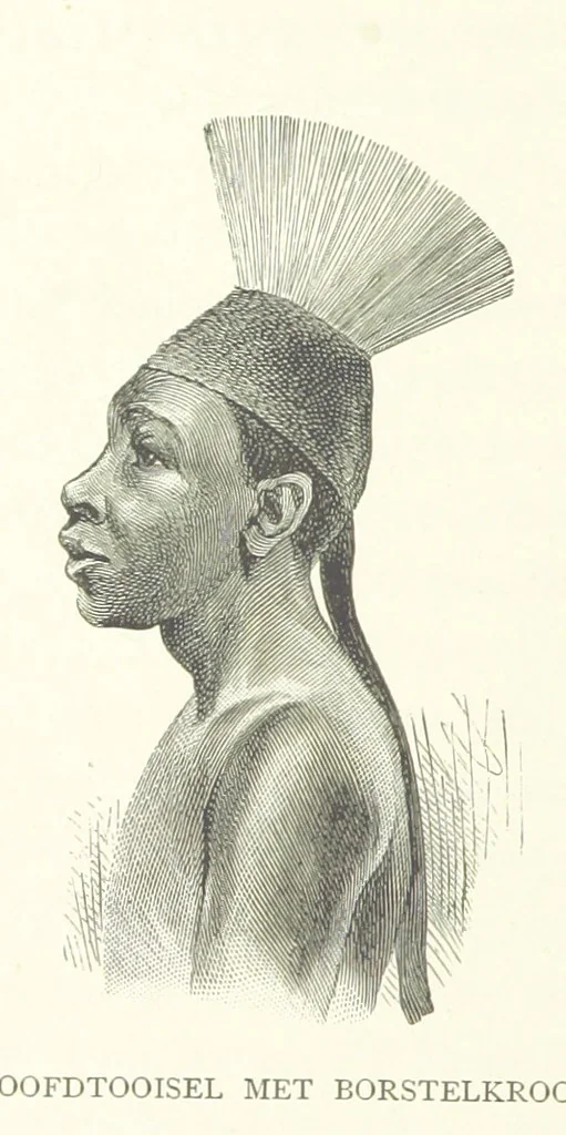 An illustration from Stanley in Afrika's donkere wildernissen, etc. [Translated from “In Darkest Afrika” by H. Tiedeman, 1890, leaf 204