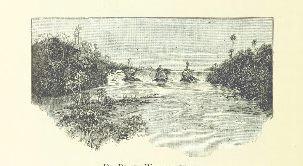 An illustration from Stanley in Afrika's donkere wildernissen, etc. [Translated from “In Darkest Afrika” by H. Tiedeman, 1890, leaf 214