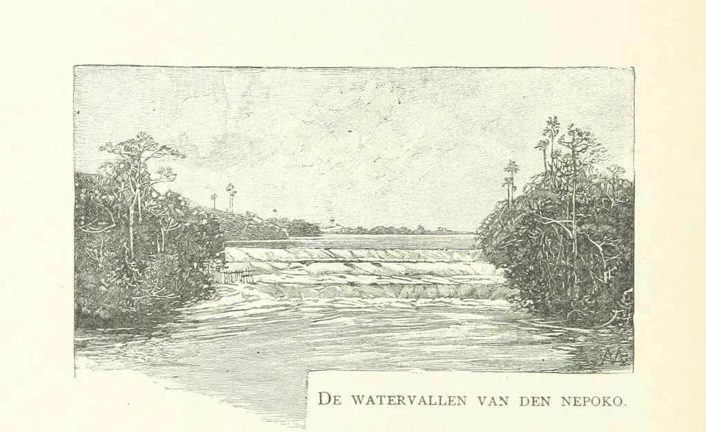 An illustration from Stanley in Afrika's donkere wildernissen, etc. [Translated from “In Darkest Afrika” by H. Tiedeman, 1890, leaf 238