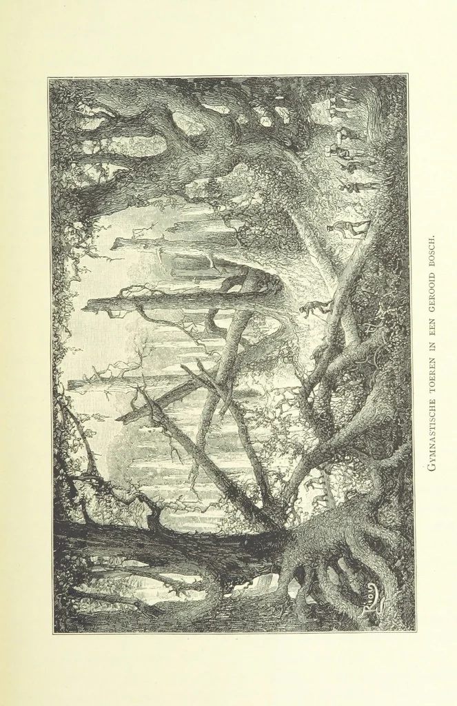 An illustration from Stanley in Afrika's donkere wildernissen, etc. [Translated from “In Darkest Afrika” by H. Tiedeman, 1890, leaf 311