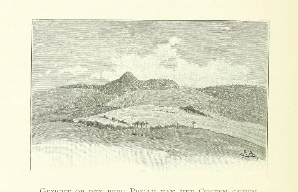 An illustration from Stanley in Afrika's donkere wildernissen, etc. [Translated from “In Darkest Afrika” by H. Tiedeman, 1890, leaf 336