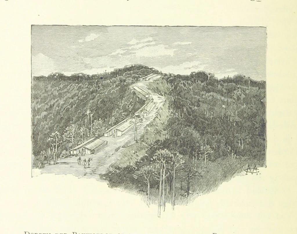 An illustration from Stanley in Afrika's donkere wildernissen, etc. [Translated from “In Darkest Afrika” by H. Tiedeman, 1890, leaf 338