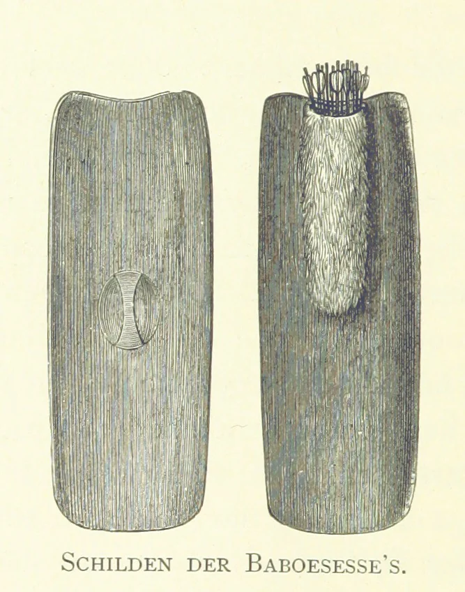 An illustration from Stanley in Afrika's donkere wildernissen, etc. [Translated from “In Darkest Afrika” by H. Tiedeman, 1890, leaf 356
