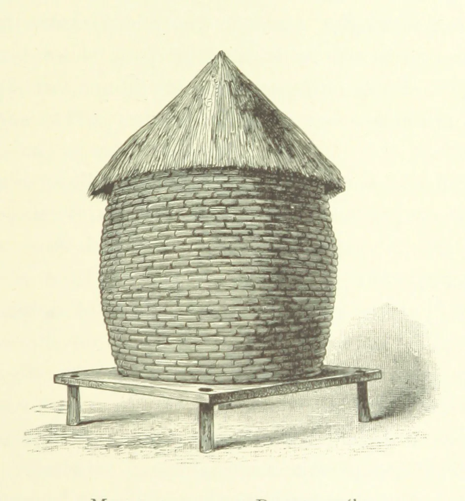 An illustration from Stanley in Afrika's donkere wildernissen, etc. [Translated from “In Darkest Afrika” by H. Tiedeman, 1890, leaf 401