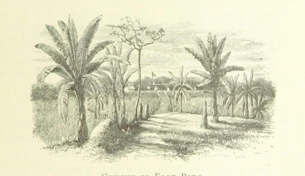 An illustration from Stanley in Afrika's donkere wildernissen, etc. [Translated from “In Darkest Afrika” by H. Tiedeman, 1890, leaf 409