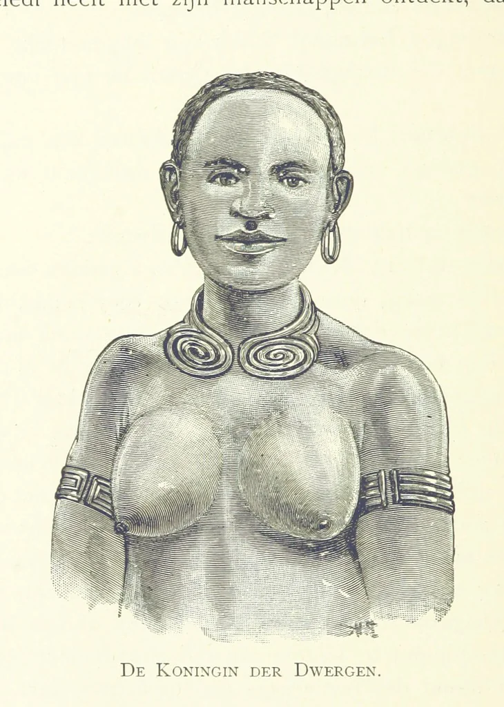 An illustration from Stanley in Afrika's donkere wildernissen, etc. [Translated from “In Darkest Afrika” by H. Tiedeman, 1890, leaf 430