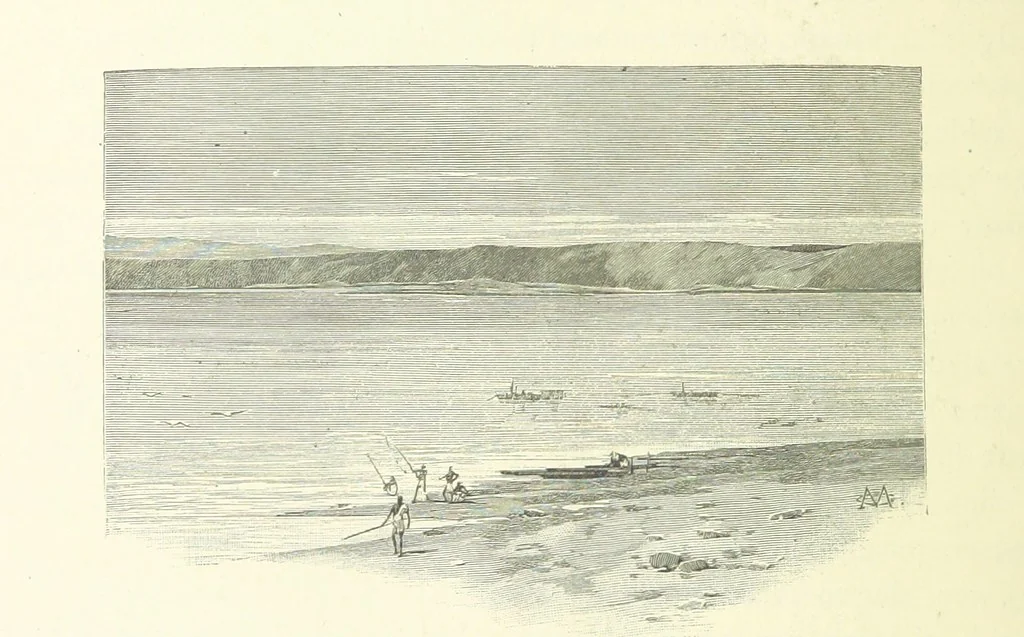 An illustration from Stanley in Afrika's donkere wildernissen, etc. [Translated from “In Darkest Afrika” by H. Tiedeman, 1890, leaf 494