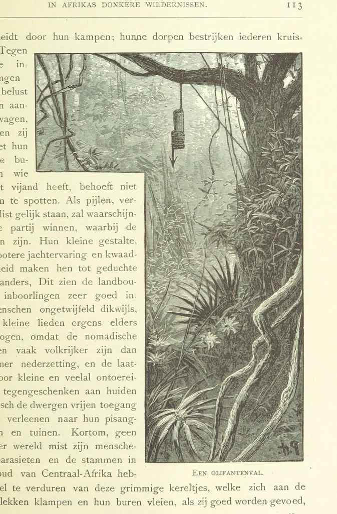 An illustration from Stanley in Afrika's donkere wildernissen, etc. [Translated from “In Darkest Afrika” by H. Tiedeman, 1890, leaf 749