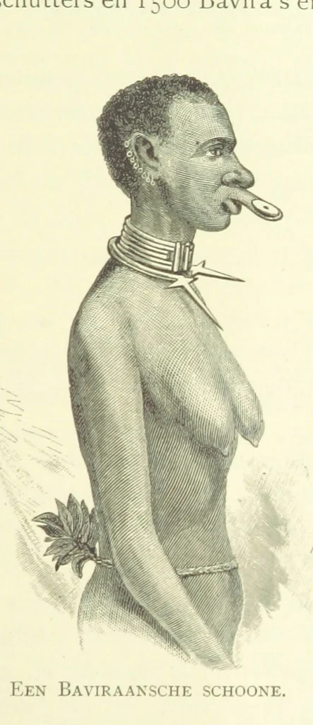 An illustration from Stanley in Afrika's donkere wildernissen, etc. [Translated from “In Darkest Afrika” by H. Tiedeman, 1890, leaf 783