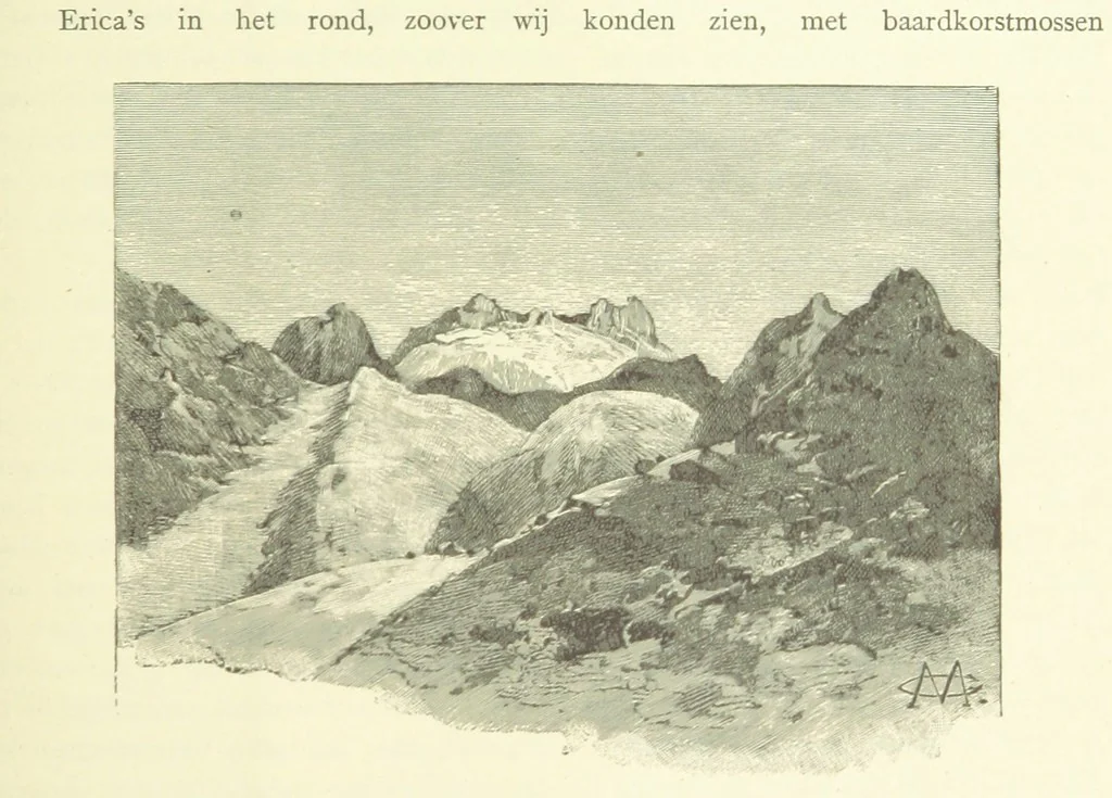 An illustration from Stanley in Afrika's donkere wildernissen, etc. [Translated from “In Darkest Afrika” by H. Tiedeman, 1890, leaf 967
