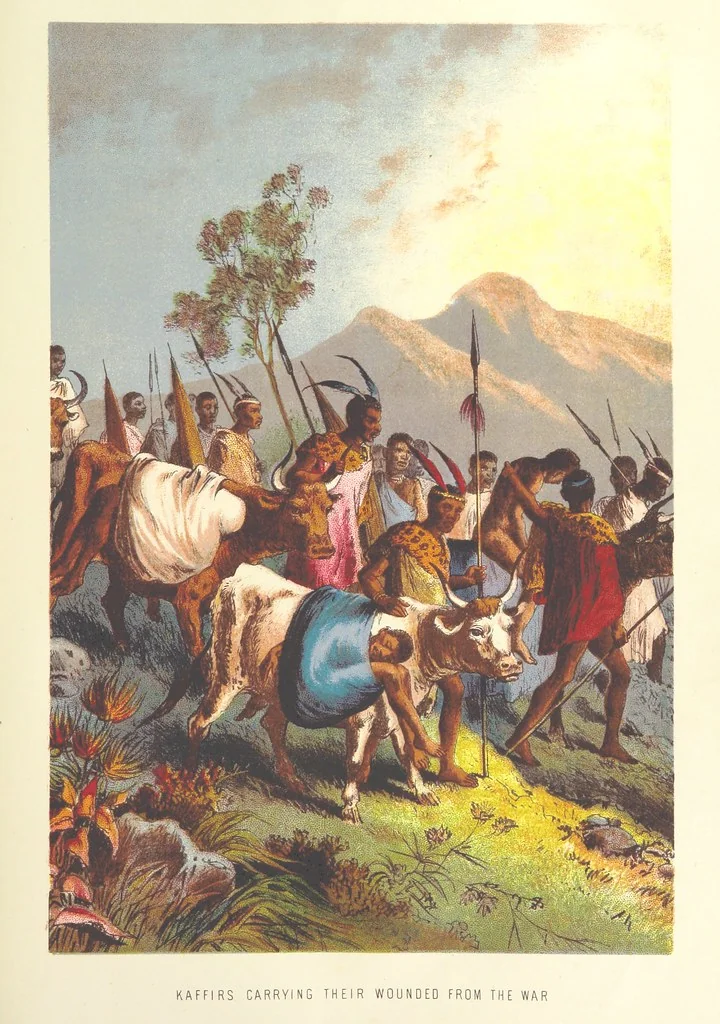 An illustration from Stanley and Africa: also, the travels, adventures, and discoveries of Captain John H. Speke, Captain Richard F. Burton ... and other distinguished explorers. [With plates, including portraits, 1890, leaf 133