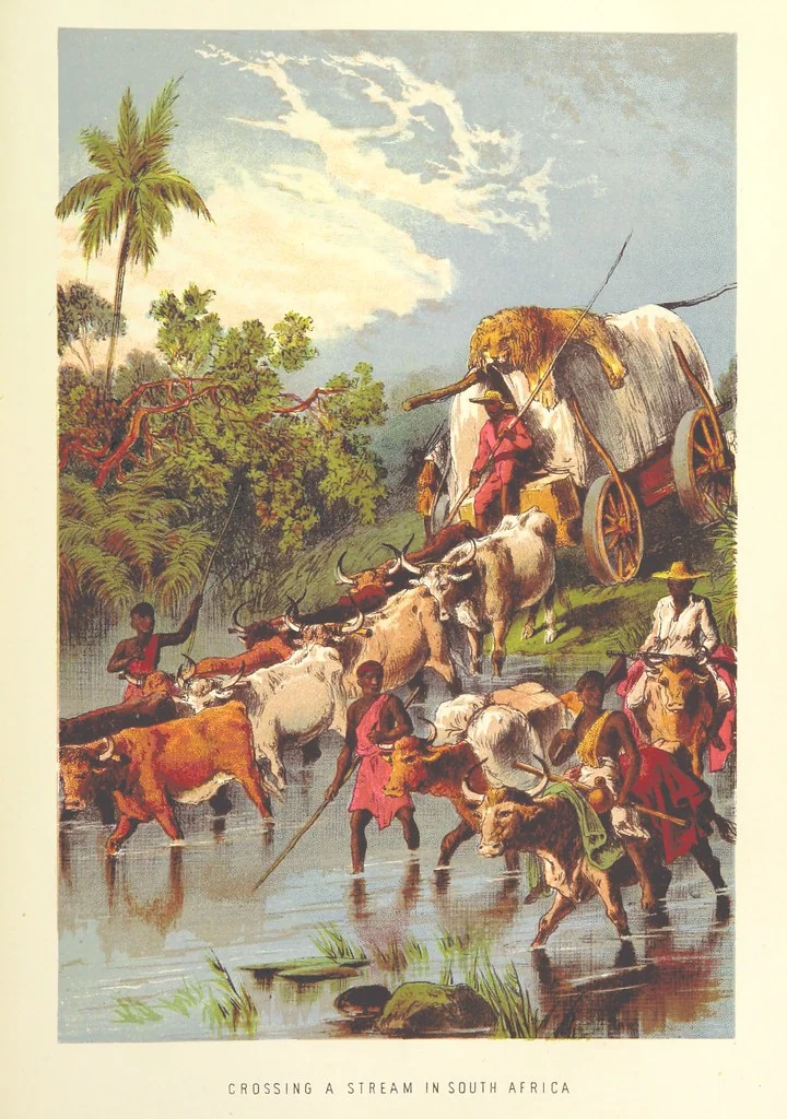 An illustration from Stanley and Africa: also, the travels, adventures, and discoveries of Captain John H. Speke, Captain Richard F. Burton ... and other distinguished explorers. [With plates, including portraits, 1890, leaf 183