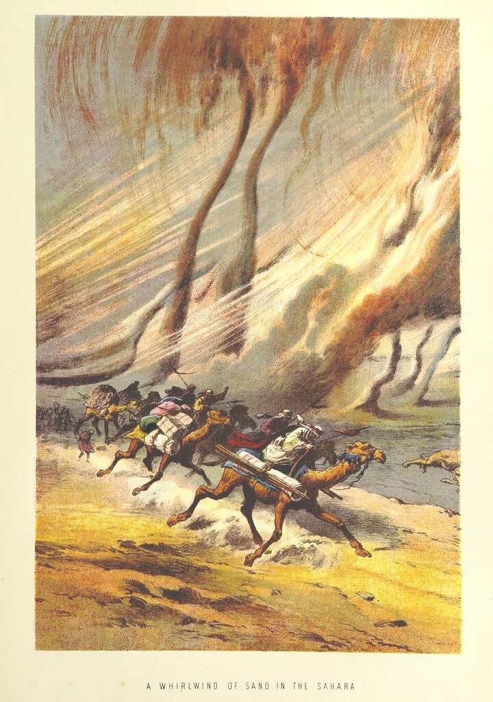 An illustration from Stanley and Africa: also, the travels, adventures, and discoveries of Captain John H. Speke, Captain Richard F. Burton ... and other distinguished explorers. [With plates, including portraits, 1890, leaf 299