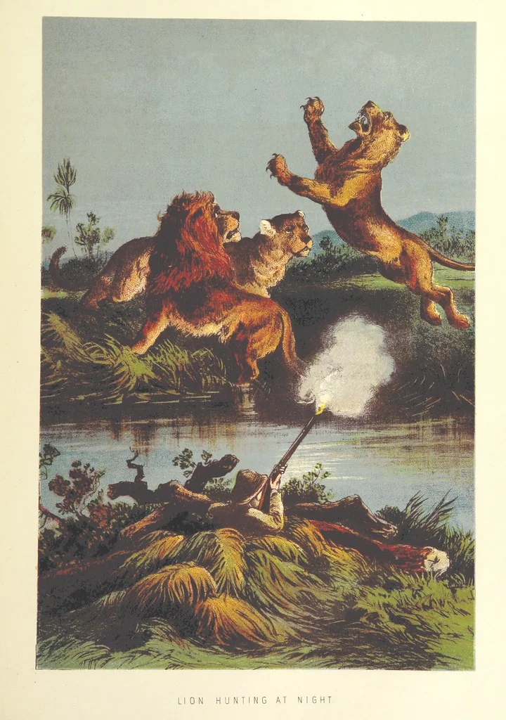 An illustration from Stanley and Africa: also, the travels, adventures, and discoveries of Captain John H. Speke, Captain Richard F. Burton ... and other distinguished explorers. [With plates, including portraits, 1890, leaf 497