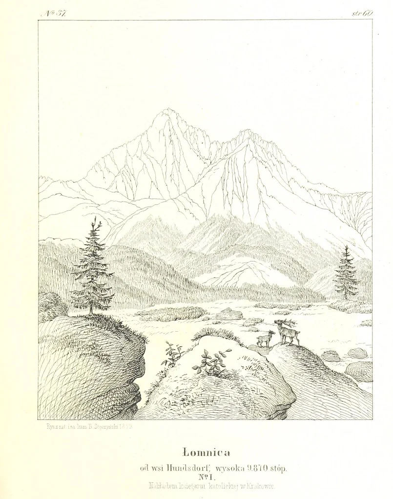 An illustration from Pieniny i Tatry: zbiór 80 malowniczych widoków ... wolną ręką z natury, a na kamieniu ... rytowanych, z treściwym onych przez autora opisem, 1860, leaf 93