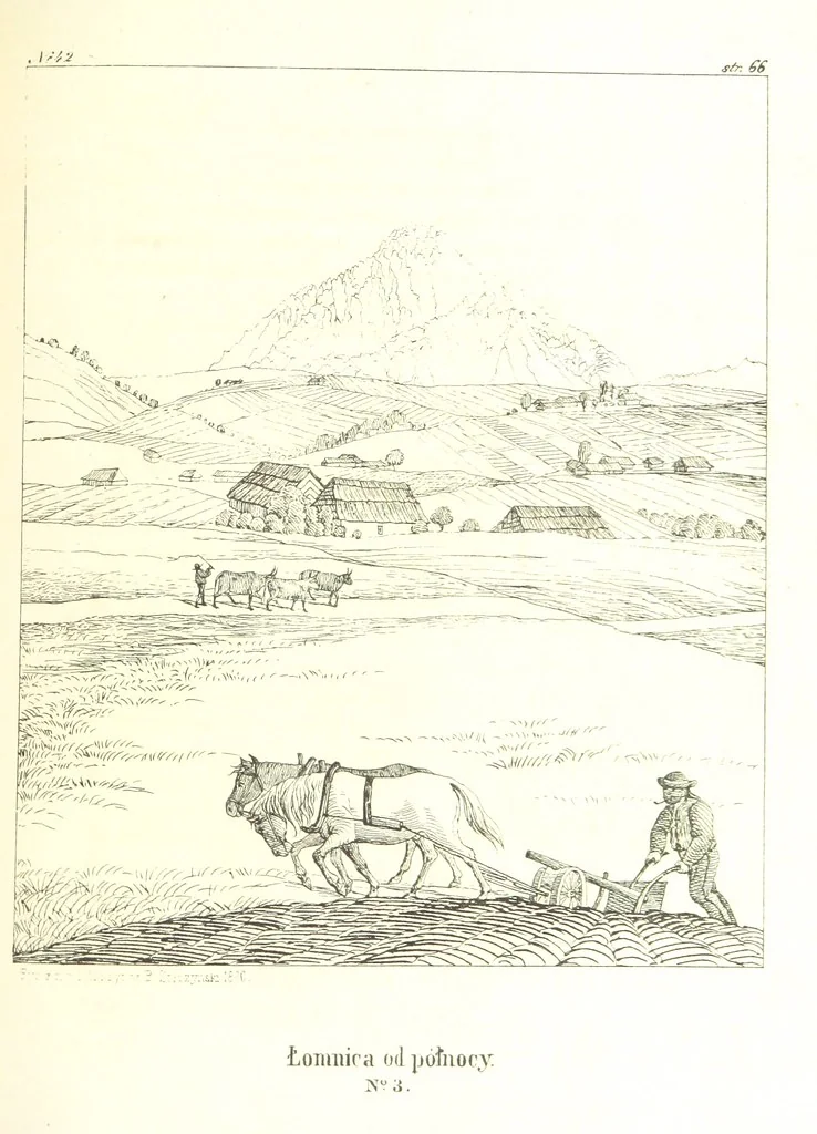 An illustration from Tatry, w dwudziestu czterech obrazach skreślone piórem i rylcem. [In verse.] ... Dzieło ozdobione 80 rvsunkami, przez autora z nautry zdiętemi, etc, 1860, leaf 171