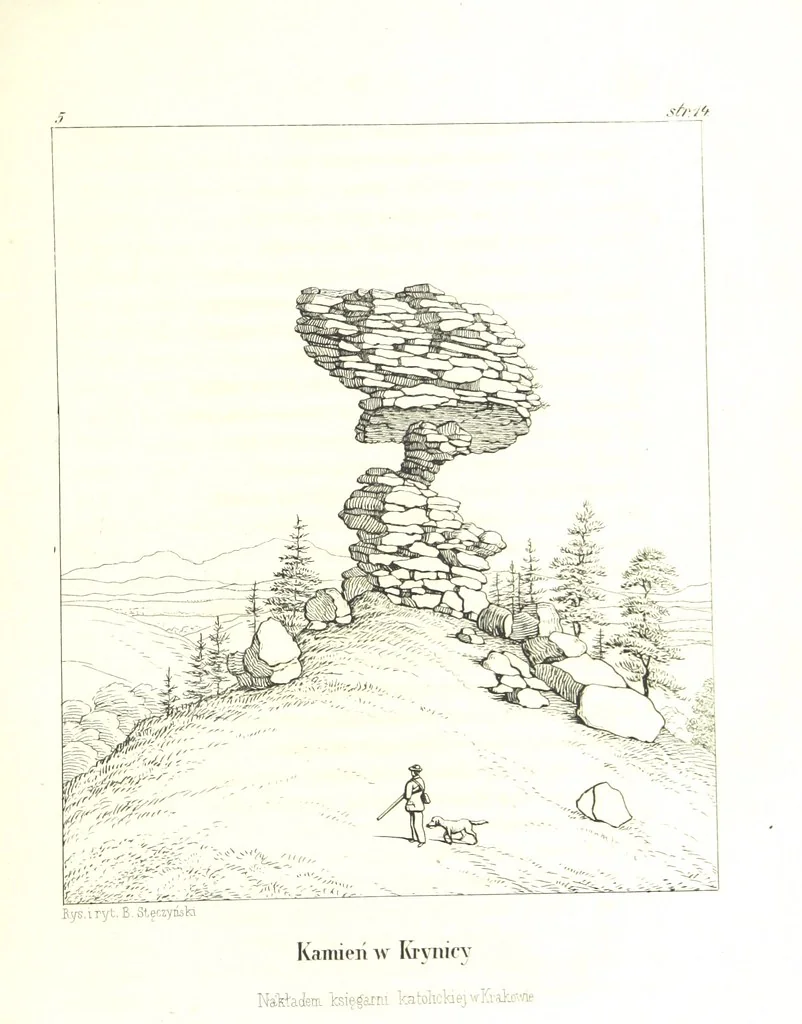 An illustration from Tatry, w dwudziestu czterech obrazach skreślone piórem i rylcem. [In verse.] ... Dzieło ozdobione 80 rvsunkami, przez autora z nautry zdiętemi, etc, 1860, leaf 45