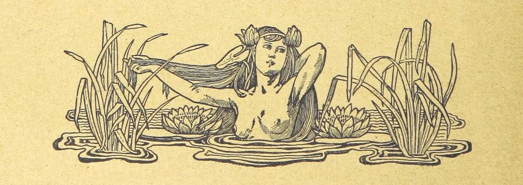 An illustration from Hundert Jahre in Wort und Bild. Eine Kulturgeschichte des XIX. Jahrhunderts herausgegeben von Dr. S. Stefan. Mit 800 Text-Illustrationen, etc, 1899, leaf 330