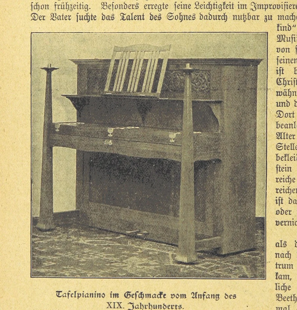 An illustration from Hundert Jahre in Wort und Bild. Eine Kulturgeschichte des XIX. Jahrhunderts herausgegeben von Dr. S. Stefan. Mit 800 Text-Illustrationen, etc, 1899, leaf 358